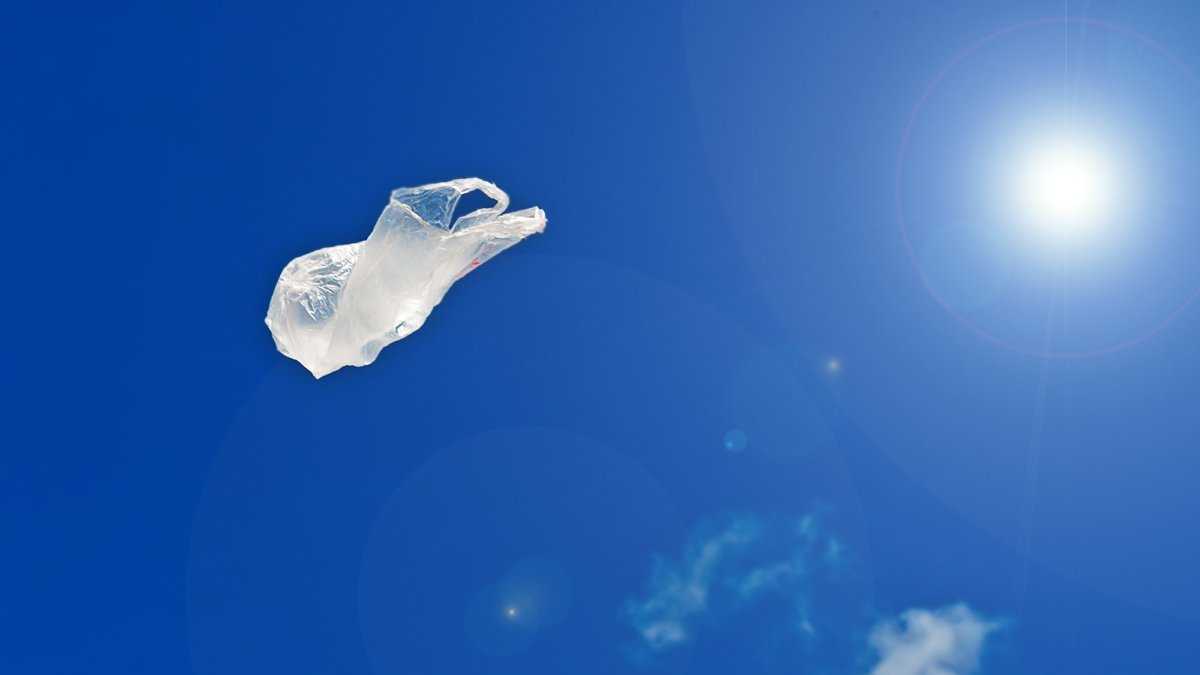 Danish study finds plastic bags have lowest environmental impact