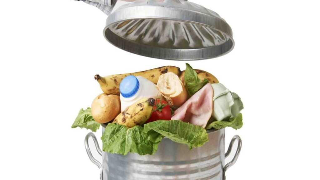 Beyond Meat Burger Carbon Footprint & Environmental Impact Consumer Ecology